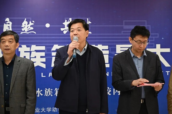 投注平台