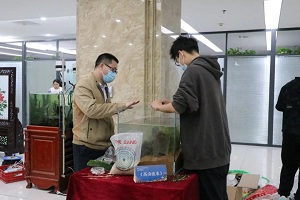投注平台