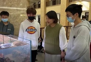 投注平台