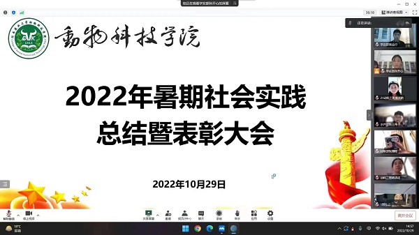 投注平台
