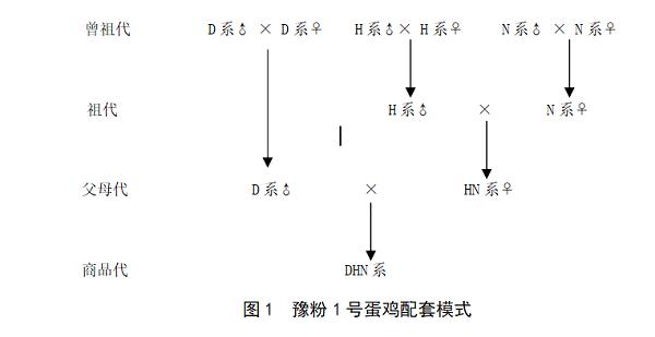 投注平台