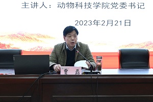 投注平台