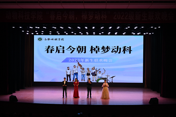 投注平台