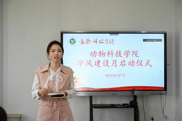 投注平台