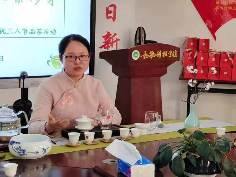 投注平台