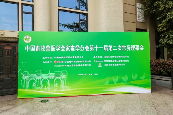 投注平台