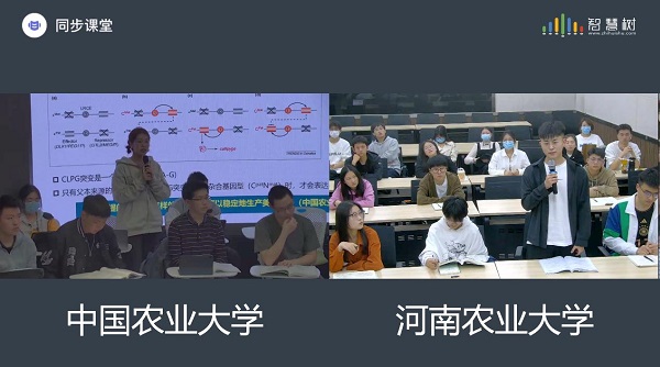 投注平台