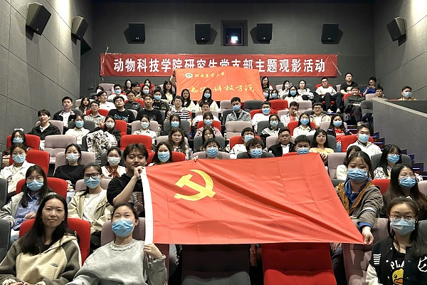 投注平台