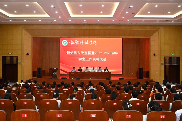 投注平台