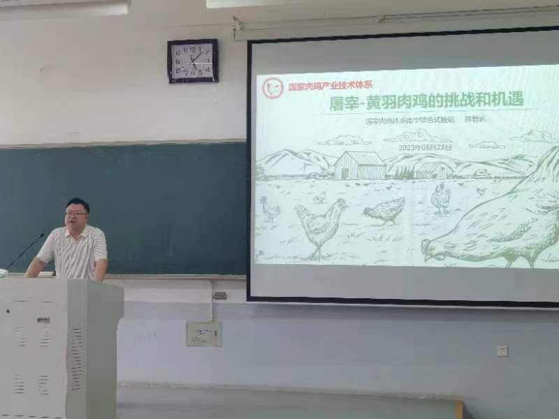 投注平台