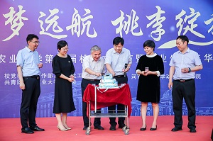 投注平台
