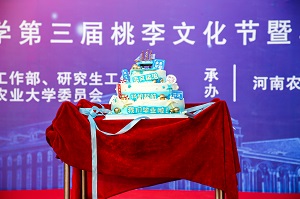 投注平台