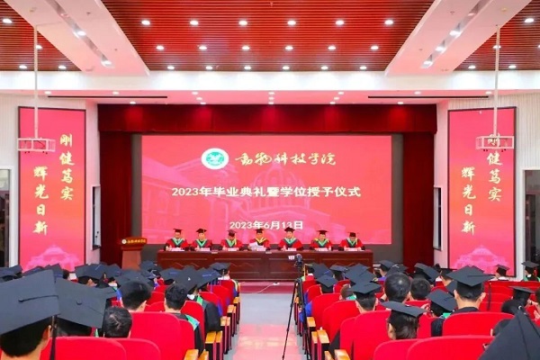 投注平台
