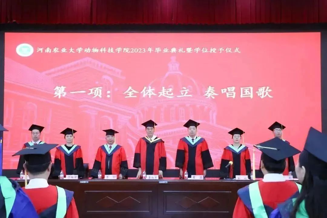 投注平台