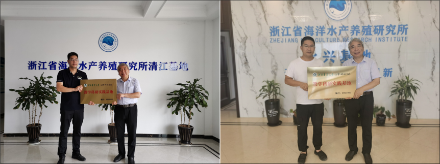 投注平台