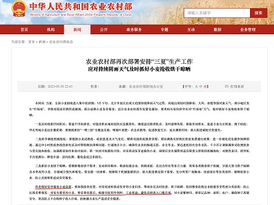 投注平台