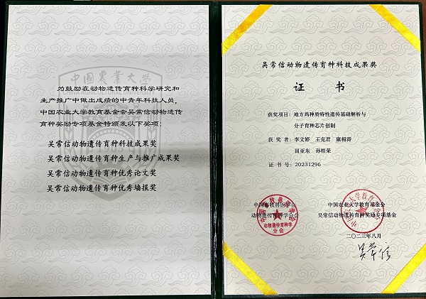 投注平台