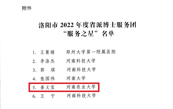 投注平台