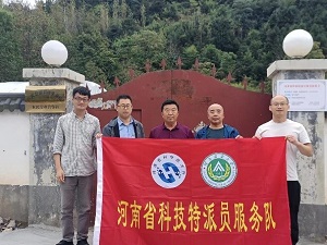 投注平台