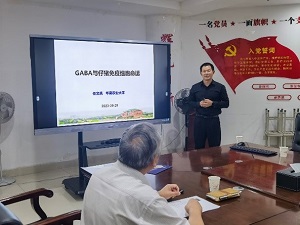 投注平台