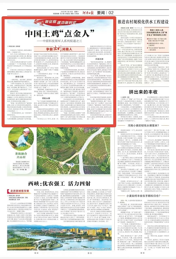 投注平台