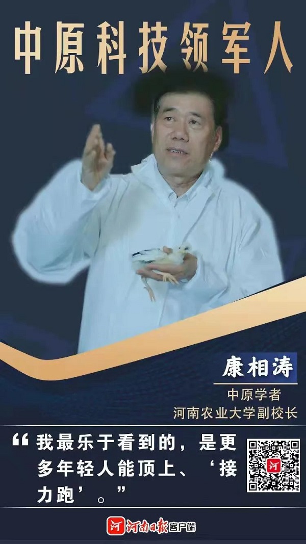 投注平台