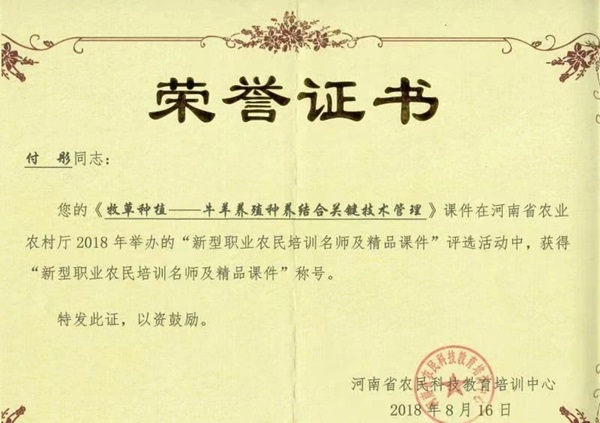 投注平台