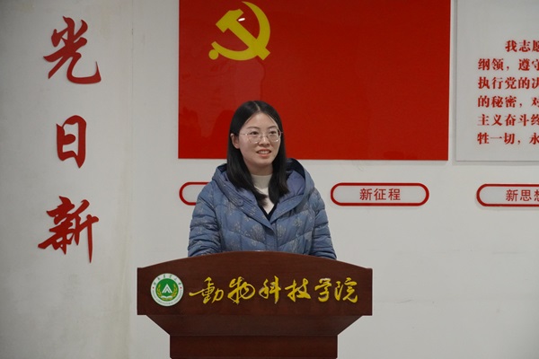 投注平台