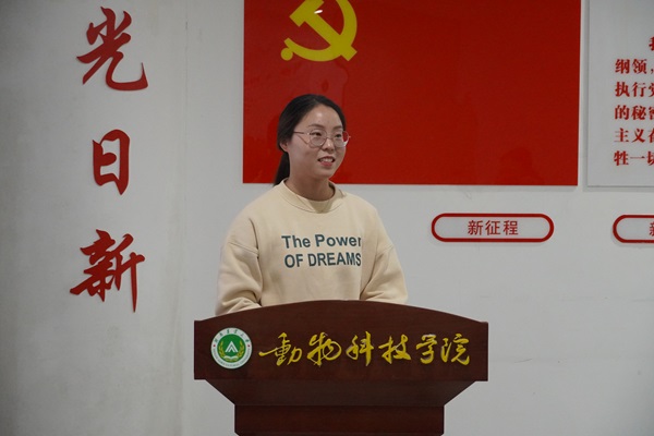 投注平台