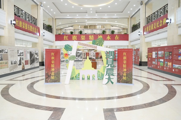 投注平台