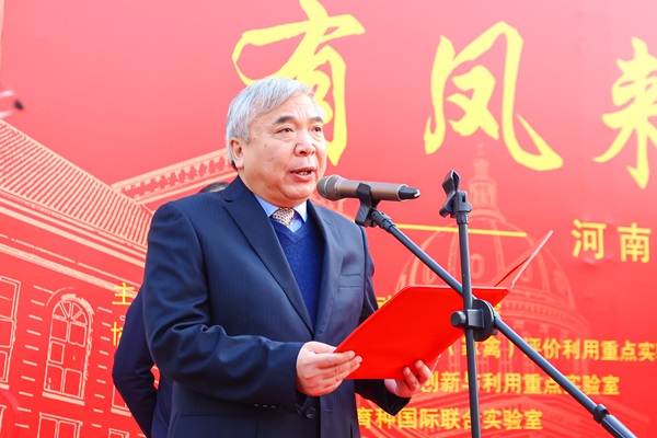 投注平台