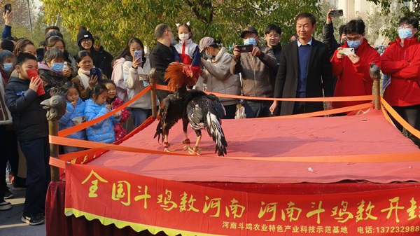 投注平台