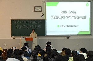 投注平台