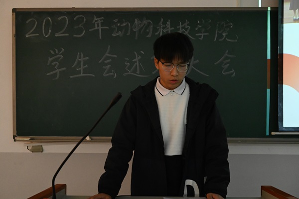 投注平台