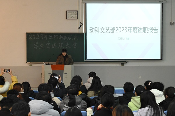 投注平台