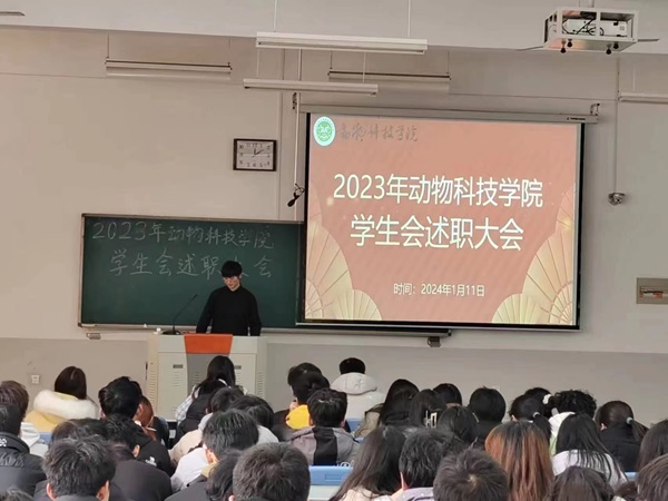 投注平台