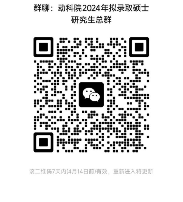 投注平台