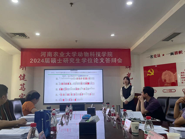 投注平台