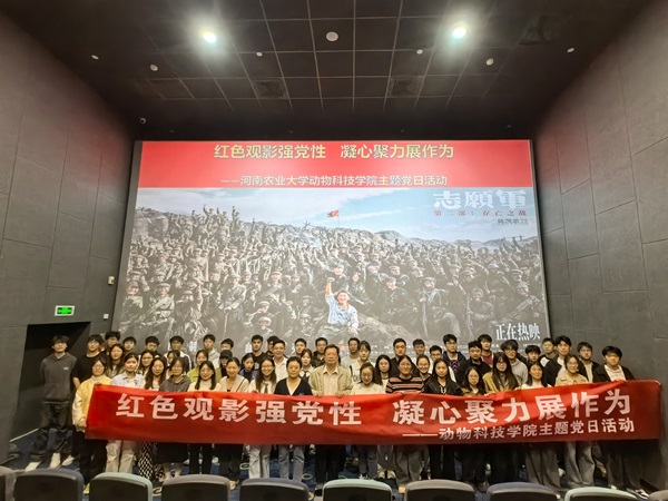 投注平台