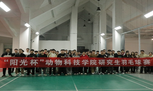 投注平台