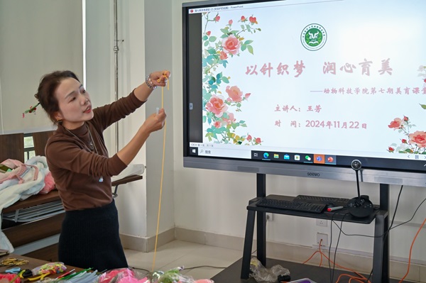 投注平台