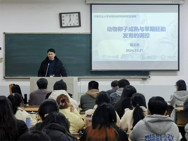 投注平台