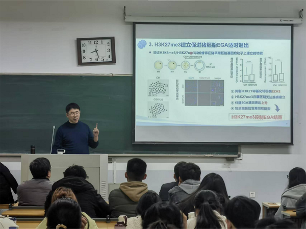 投注平台