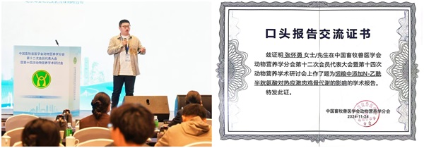 投注平台