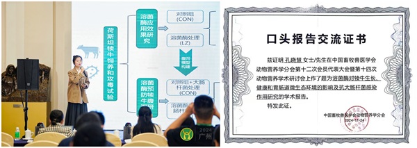 投注平台