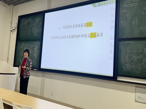 投注平台