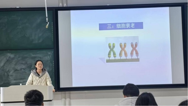 投注平台