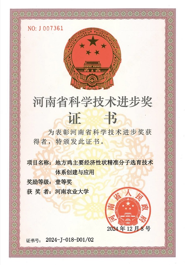投注平台