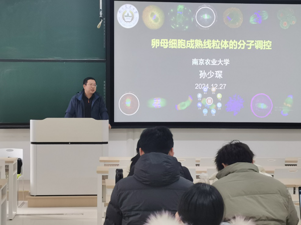 投注平台