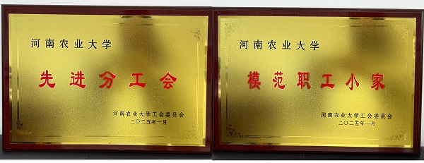 投注平台